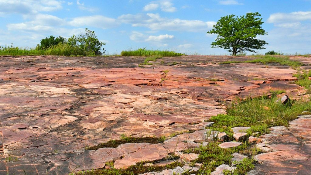 Jeffers Petroglyphs