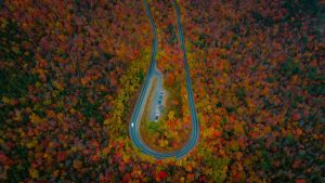 Fall Color Drive