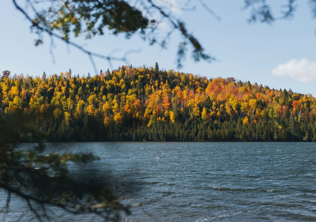 North Shore Coastline in Fall